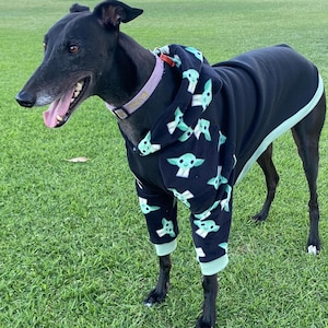 Puede incluir: Un galgo negro con un mono con capucha negro con un estampado de personajes de dibujos animados en verde claro y blanco. El perro tiene un collar rosa y est&aacute; sobre hierba verde.