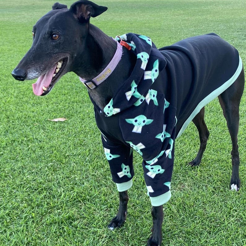 Puede incluir: Un galgo negro con un mono con capucha negro con un estampado de personajes de dibujos animados en verde claro y blanco. El perro tiene un collar rosa y est&aacute; sobre hierba verde.