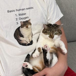 Basic Human Needs Cat T-Shirt | Suki Purrs Funny Tee