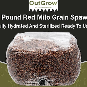 Sterilized Red Milo Grain Spawn Bag - 3 Pounds