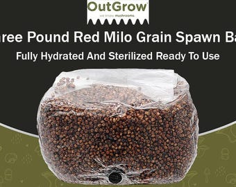 Sterilized Red Milo Grain Spawn Bag - 3 Pounds