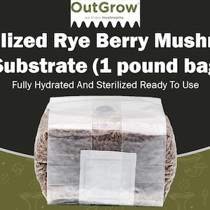 May include: A white bag containing a sterilized rye berry mushroom substrate for growing mushrooms. The bag is labeled "OutGrow" and "Sterilized Rye Berry Mushroom Substrate (1 pound bag)".