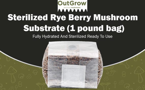 Sterilized Rye Berry Spawn Bag | Nutrient-Enhanced Grain Spawn | Out-Grow: 1 pound bag