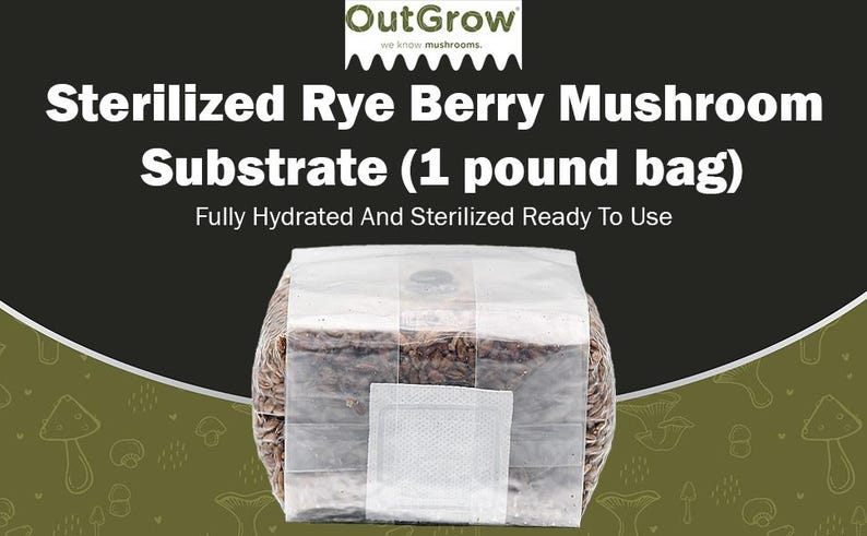 May include: A white bag containing a sterilized rye berry mushroom substrate for growing mushrooms. The bag is labeled "OutGrow" and "Sterilized Rye Berry Mushroom Substrate (1 pound bag)".