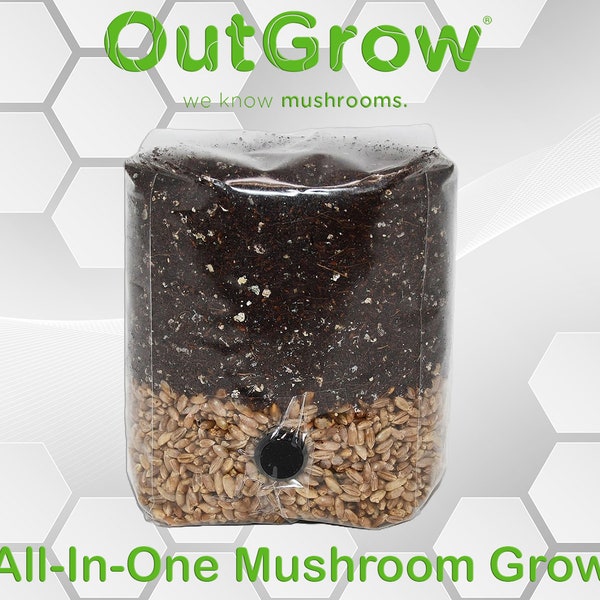 Mini All In One Mushroom Grow Bag