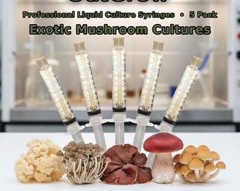Exotic Mushroom Liquid Culture Syringes 5 Pack | Cauliflower Beefsteak Almond Species