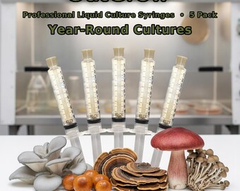 Year Round Mushroom Liquid Culture Syringes 5 Pack | Oyster Chestnut Turkey Tail Species