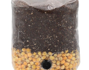 Mini Golden Grain All-In-One Mushroom Grow Bag