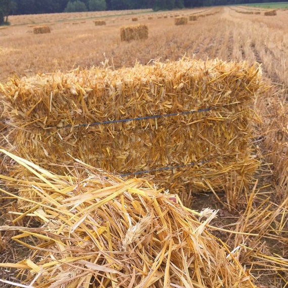 Wheat Straw Bale, Gardening Essentials