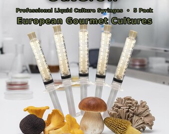 European Gourmet Mushroom Liquid Culture Syringes 5 Pack | Truffle Chanterelle Porcini