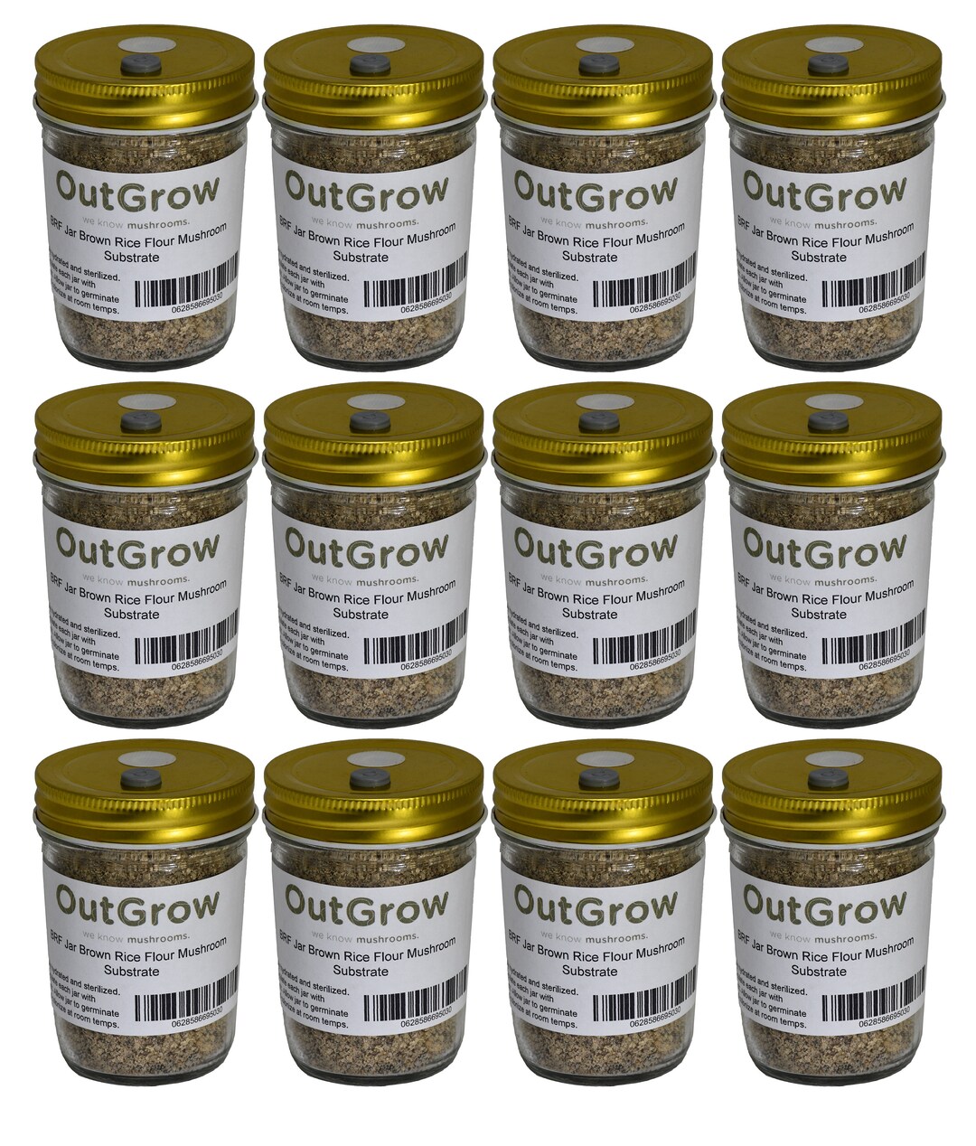 BRF Jars Brown Rice Flour Mushroom Substrate 12 Pack Etsy