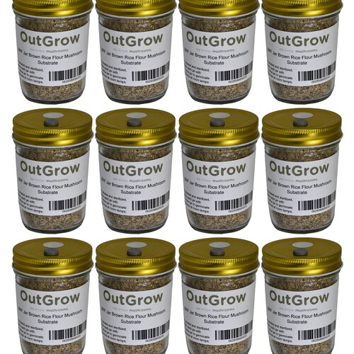 BRF Jars Brown Rice Flour Mushroom Substrate 12 Pack Etsy