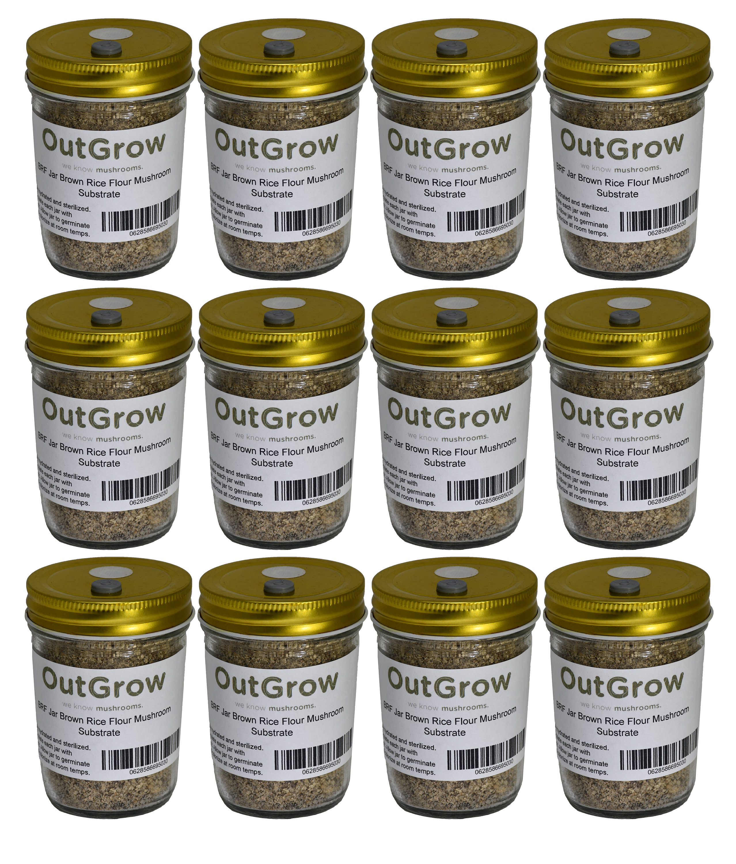 BRF Jars Brown Rice Flour Mushroom Substrate 12 Pack Etsy