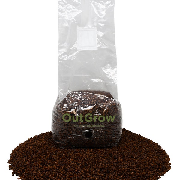 Sterilized Grain Spawn Mushroom Substrate Bag - 3 Pounds