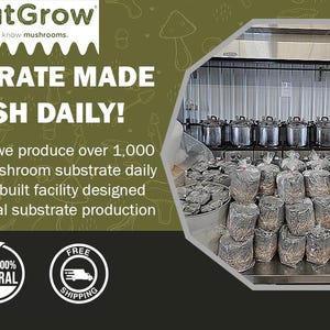 Puede incluir: Primer plano de una instalaci&oacute;n de producci&oacute;n de sustrato de cultivo de champi&ntilde;ones. La imagen muestra una gran olla de acero inoxidable y muchas bolsas de sustrato. El texto en la imagen dice "OutGrow, we know mushrooms. Substrate Made Fresh Daily! At Out Grow, we produce over 1,000 pounds of mushroom substrate daily in a custom-built facility designed for commercial substrate production. 100% Natural, Free Shipping."