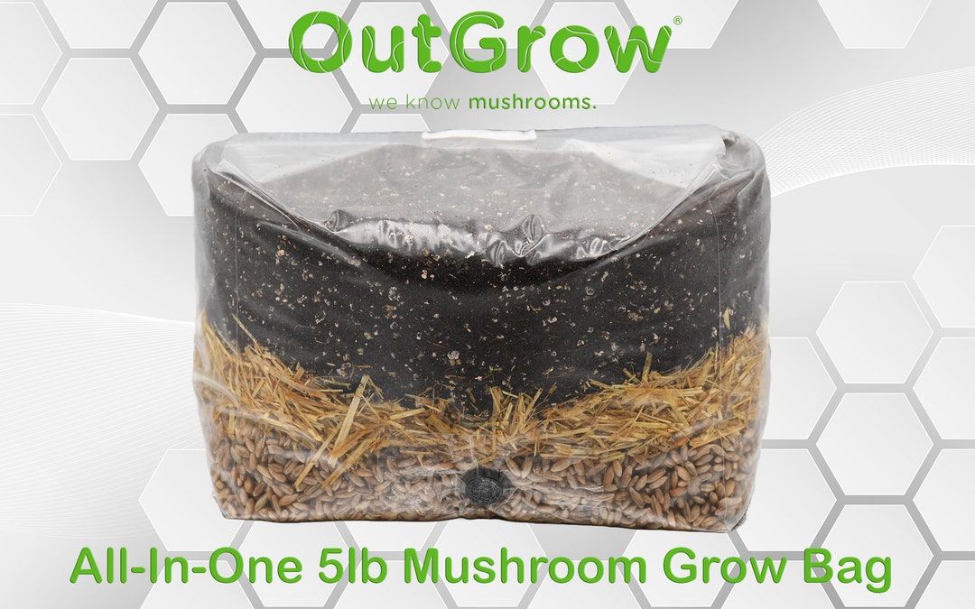 Magic All in One Mushroom Growing Kit (3 lbs) | Sterilized Grain and
