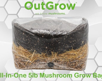 All-In-One 5lb Mushroom Grow Bag