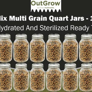 May include: Twelve clear glass quart jars filled with a multi-grain mixture for growing mushrooms. The jars are labeled "OutGrow" and the text "Mega Mix Multi Grain Quart Jars - 12 Pack Fully Hydrated And Sterilized Ready To Use" is displayed above the jars.