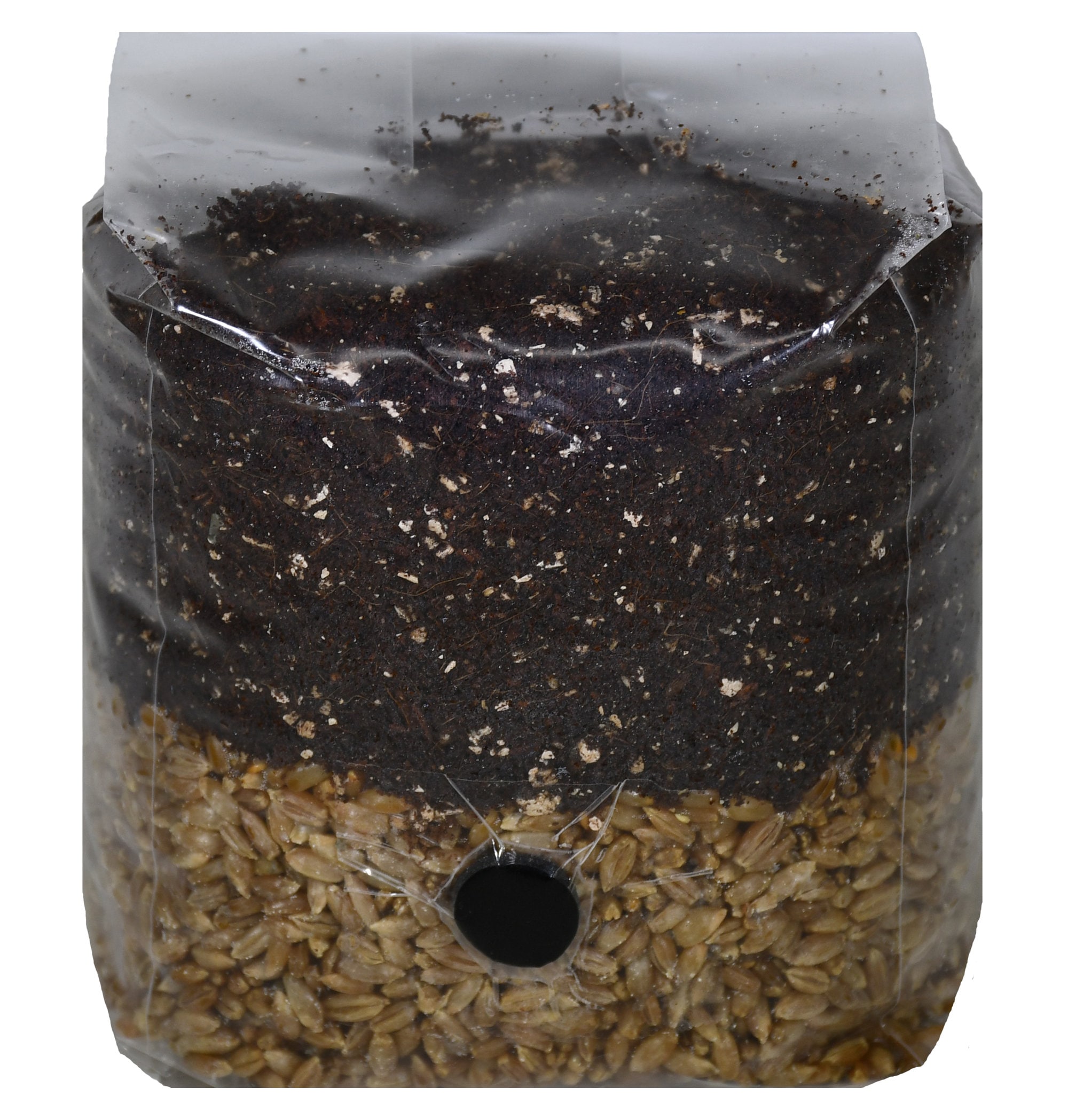 All In One Mushroom Grow Bag mini Etsy