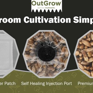 May include: Three close-up images showing the components of a mushroom growing kit. The first image shows a white 5 micron filter patch. The second image shows a clear plastic bag with a self-healing injection port. The third image shows a pile of brown rye grains. The text "Mushroom Cultivation Simplified" is at the top of the image.