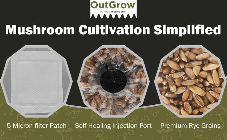 May include: Three close-up images showing the components of a mushroom growing kit. The first image shows a white 5 micron filter patch. The second image shows a clear plastic bag with a self-healing injection port. The third image shows a pile of brown rye grains. The text "Mushroom Cultivation Simplified" is at the top of the image.