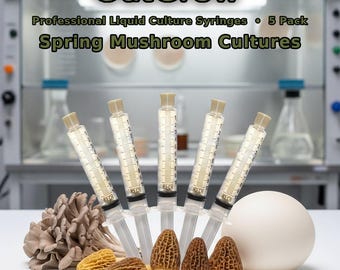 Spring Mushroom Liquid Culture Syringes 5 Pack | Morel Puffball Maitake Season Species