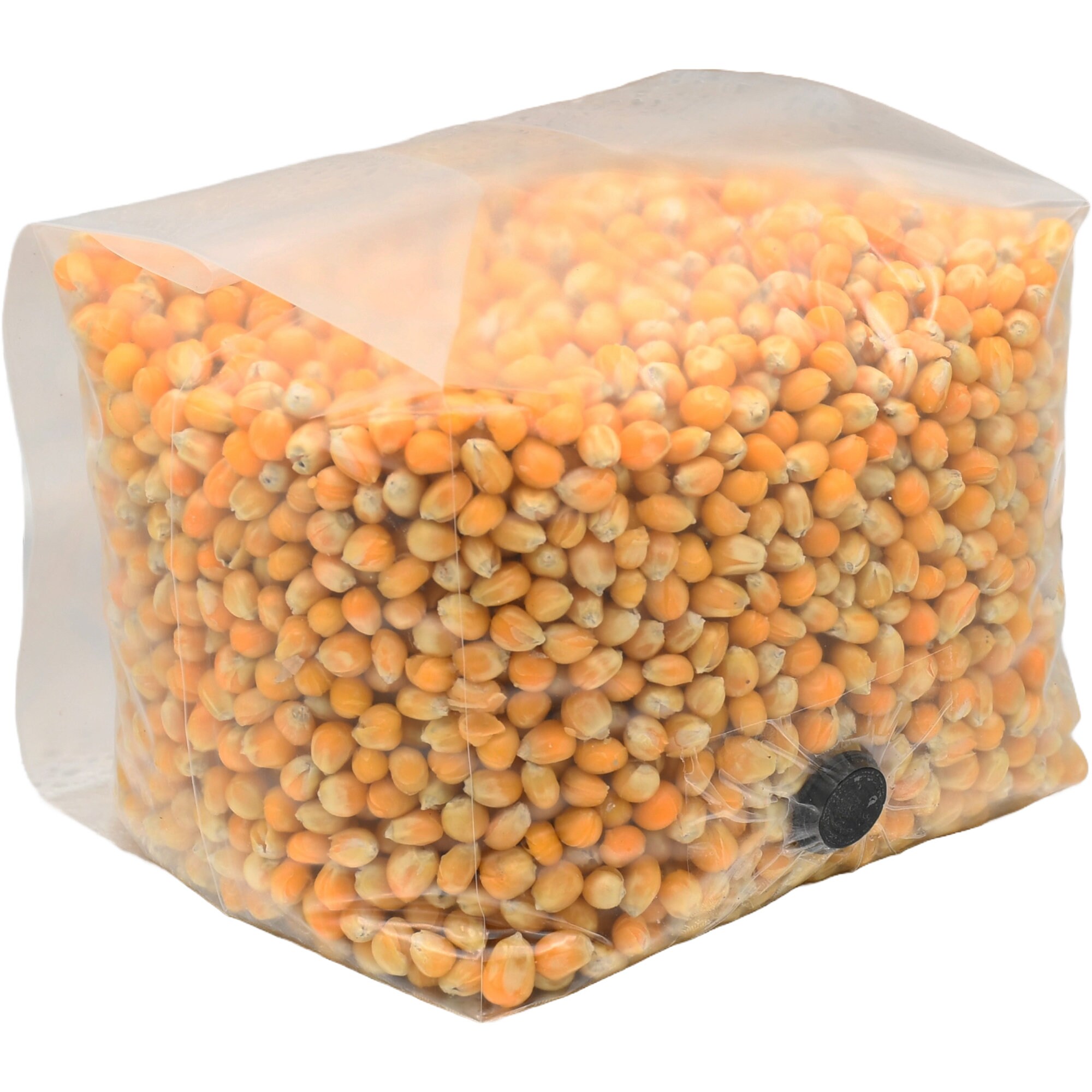 Sterilized Popcorn Grain Spawn Bag (3lb) - Etsy