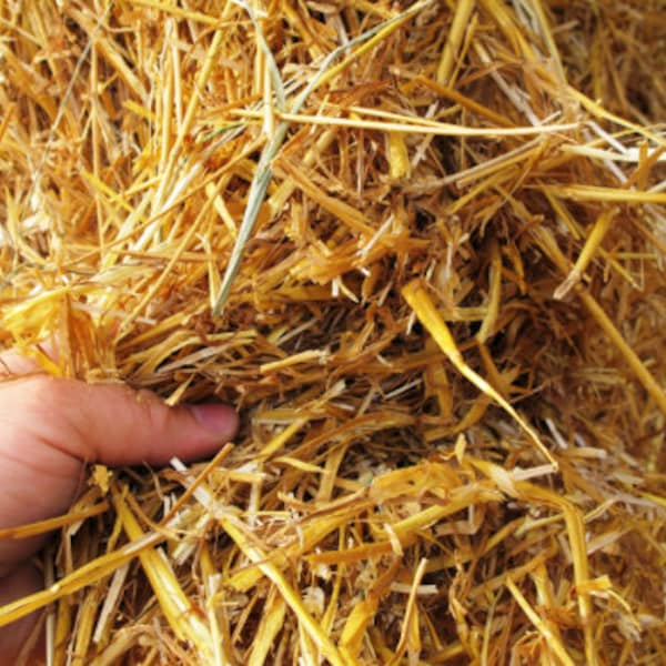 Wheat Straw 100% natural and additive free (1 cubic foot)