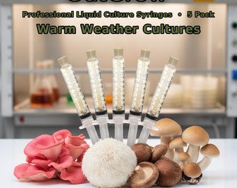 Warm Weather Mushroom Liquid Culture Syringes 5 Pack | Pink Oyster Almond Paddy Straw