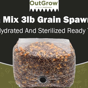 Mega Mix Sterilized Grain Spawn Bag (3lb)