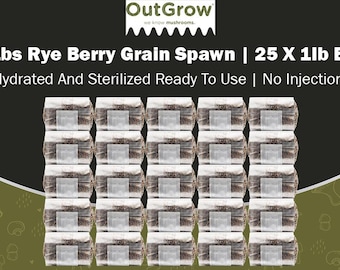 Sterilized Rye Berries Mushroom Substrate (25 Pounds Bulk Deal)