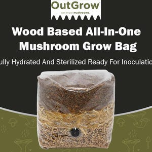 May include: A clear plastic bag filled with a brown mushroom substrate, a layer of straw, and a layer of grain. The bag is labeled "Wood Based All-In-One Mushroom Grow Bag" and "Fully Hydrated And Sterilized Ready For Inoculation".