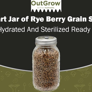 Sterilized Grain Spawn Jars | Perfect For Mushroom Cultivation | Out Grow