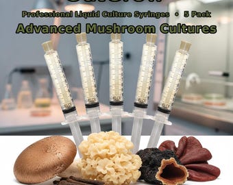 Advanced Mushroom Liquid Culture Syringes 5 Pack | Cauliflower Chaga Beefsteak Species