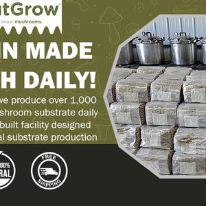 May include: A close-up of a stack of wrapped mushroom substrate blocks. The blocks are labeled "OutGrow" and the text "Grain Made Fresh Daily!" is displayed on a green background with mushroom illustrations.