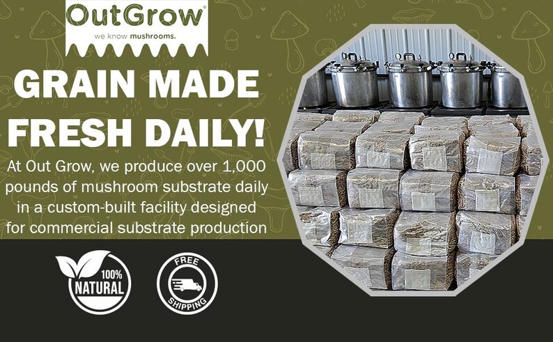 May include: A close-up of a stack of wrapped mushroom substrate blocks. The blocks are labeled "OutGrow" and the text "Grain Made Fresh Daily!" is displayed on a green background with mushroom illustrations.