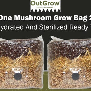 All in One Mushroom Grow Bag (2 Pack)