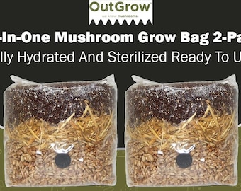 All in One Mushroom Grow Bag (2 Pack)