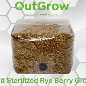 3lb Premium Rye Berry Mushroom Grow Bag with Self-Healing Port