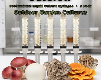 Outdoor Garden Mushroom Liquid Culture Syringes 5 Pack | King Stropharia Maitake Puffball