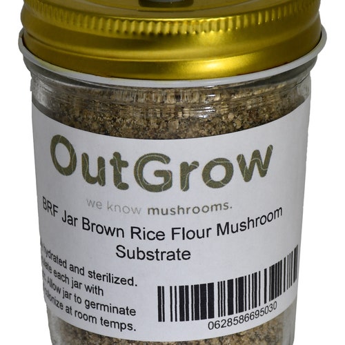 BRF Jars Brown Rice Flour Mushroom Substrate Etsy