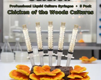 Chicken of the Woods Liquid Culture Syringes 5 Pack | Laetiporus Species Collection