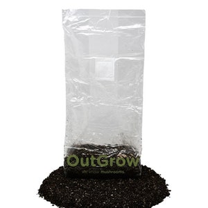 Puede incluir: Una bolsa de pl&aacute;stico transparente llena de sustrato de champi&ntilde;ones marr&oacute;n oscuro. La bolsa est&aacute; etiquetada con "OutGrow" con el lema "we know mushrooms."