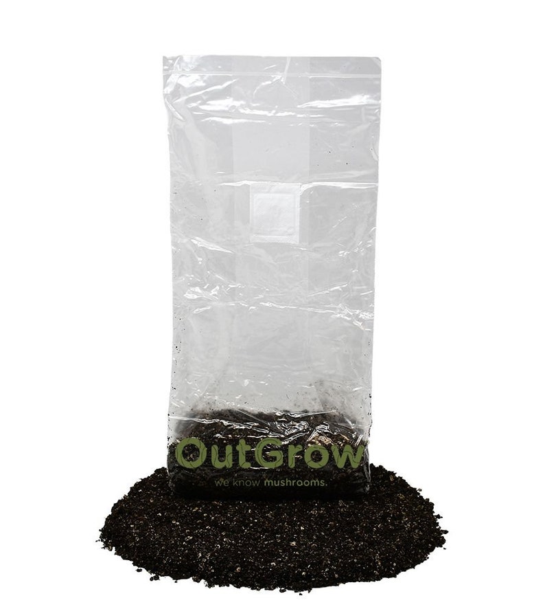 Puede incluir: Una bolsa de pl&aacute;stico transparente llena de sustrato de champi&ntilde;ones marr&oacute;n oscuro. La bolsa est&aacute; etiquetada con "OutGrow" con el lema "we know mushrooms."