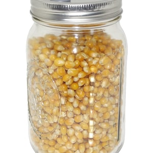 Quart Jar of Sterilized Popcorn Mushroom Substrate