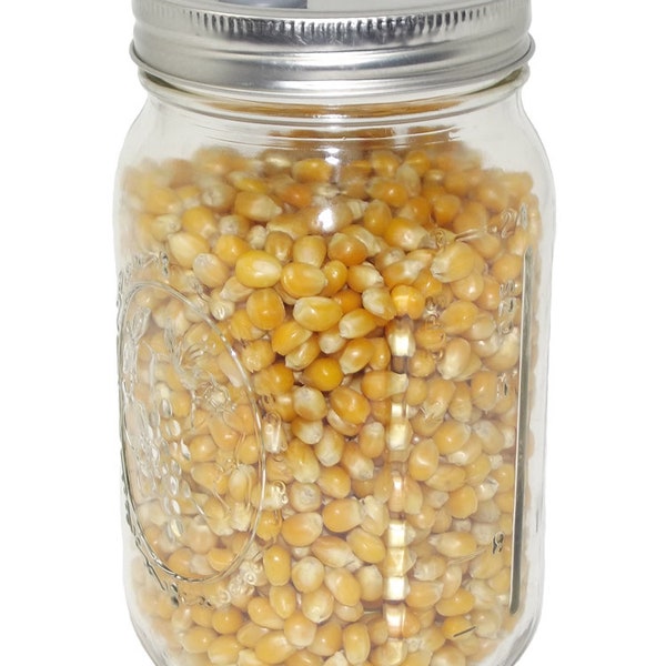 Quart Jar of Sterilized Popcorn Mushroom Substrate