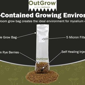 May include: A white grow bag with a clear plastic window, labeled "OutGrow", containing brown rye berries. The bag has a 5 micron filter patch, a self-healing injection port, and is labeled "Durable Grow Bag" and "Premium Rye Berries".