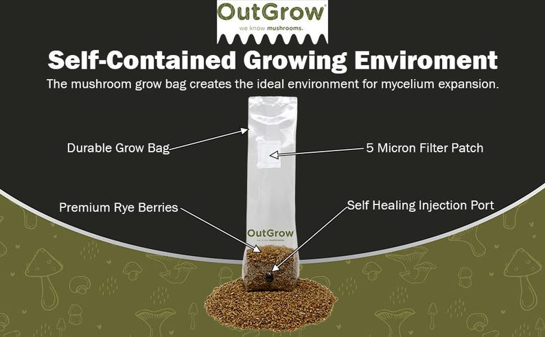 May include: A white grow bag with a clear plastic window, labeled "OutGrow", containing brown rye berries. The bag has a 5 micron filter patch, a self-healing injection port, and is labeled "Durable Grow Bag" and "Premium Rye Berries".