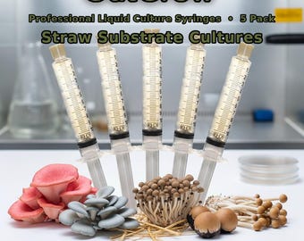 Straw Substrate Mushroom Liquid Culture Syringes 5 Pack | Pink Blue Oyster Paddy Pioppino