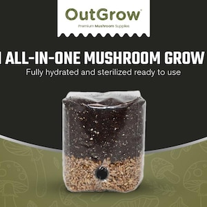 Mini All-In-One Manure-Based Mushroom Grow Bag